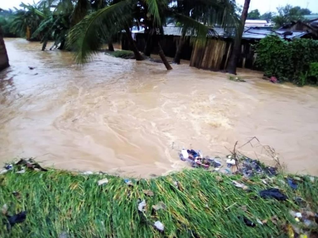 Flooding hits Ivory Coast cocoa