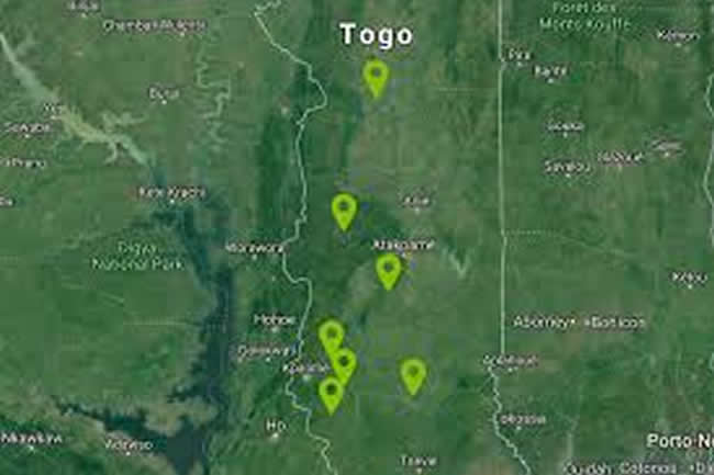 UNTAPPED POTENTIAL IN TOGO’S AGRICULTURE INDUSTRY